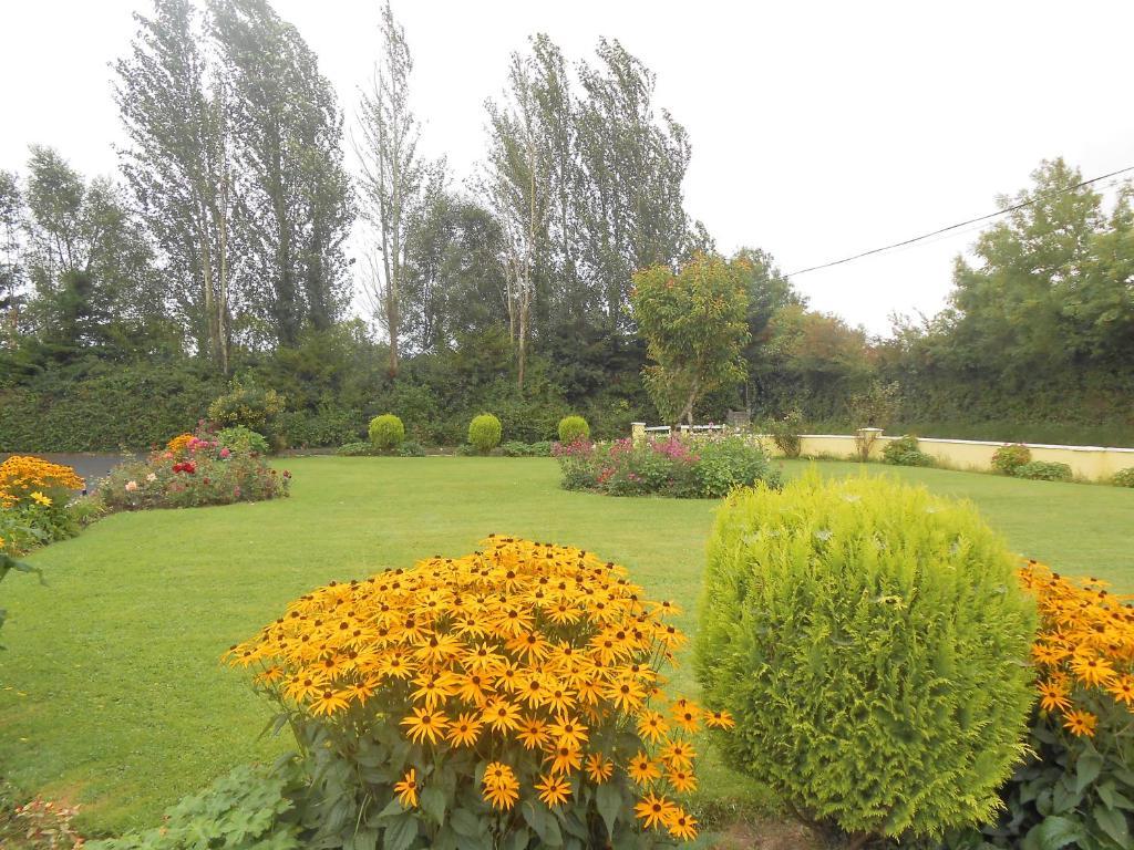 Gallows View Bed & Breakfast Bunratty Cameră foto